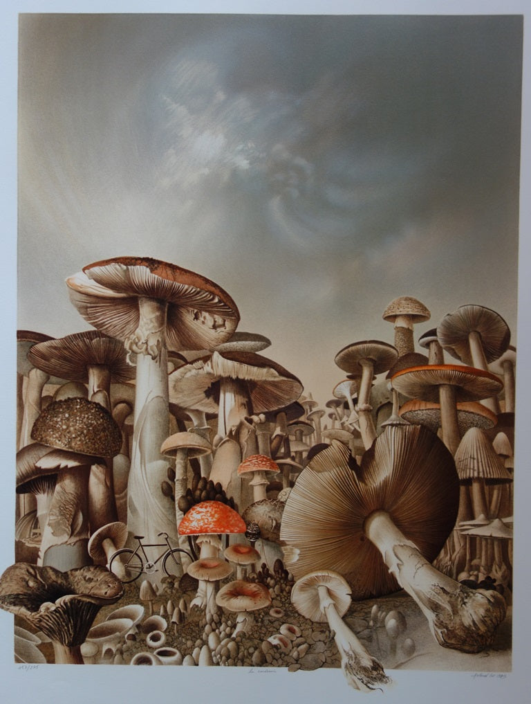 Roland CAT : Randonnée Mycologique - Lithographie (détail)
