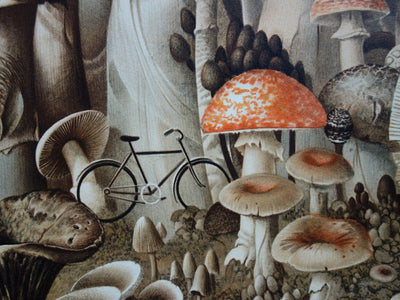 Roland CAT : Randonnée Mycologique - Lithographie (détail)