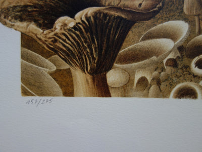 Roland CAT : Randonnée Mycologique - Lithographie (détail)