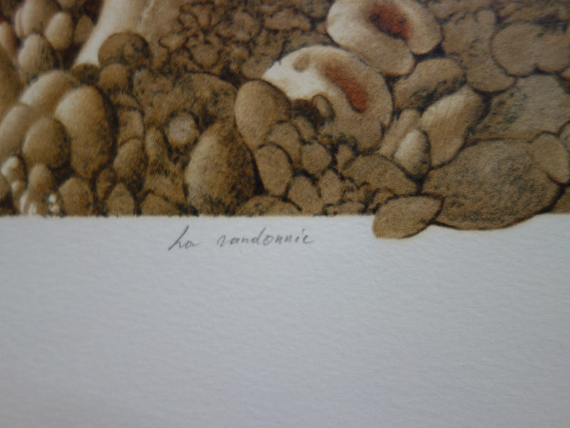 Roland CAT : Randonnée Mycologique - Lithographie (détail)