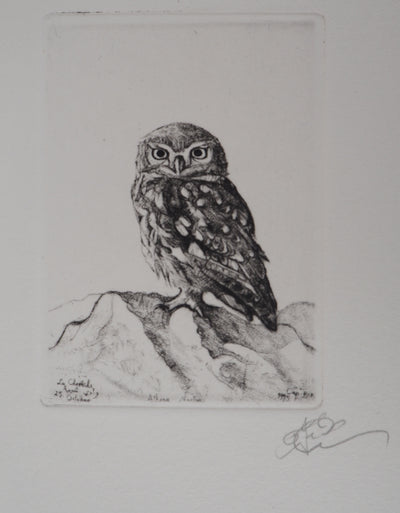 François CAYOL : Les chouettes, 1995 - Gravure