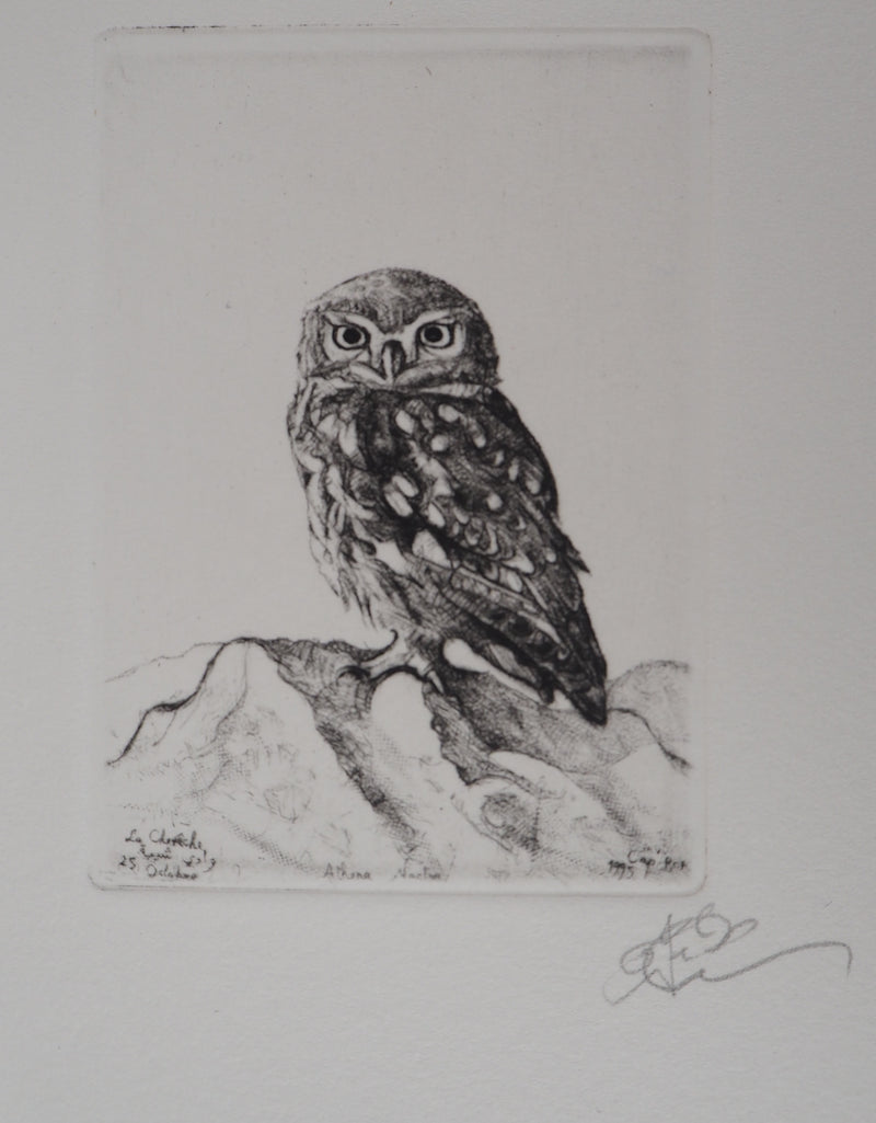 François CAYOL : Les chouettes, 1995 - Gravure