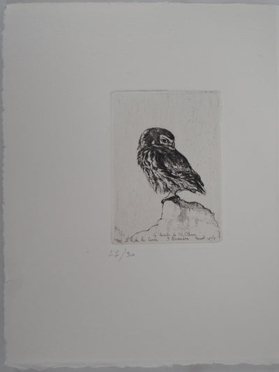 François CAYOL : Les chouettes, 1995 - Gravure (détail)
