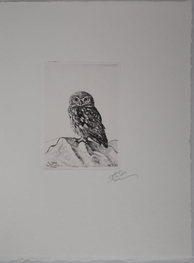 François CAYOL : Les chouettes, 1995 - Gravure (détail)