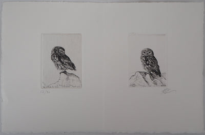 François CAYOL : Les chouettes, 1995 - Gravure (détail)