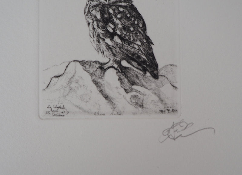 François CAYOL : Les chouettes, 1995 - Gravure (détail)