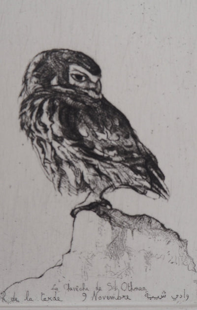 François CAYOL : Les chouettes, 1995 - Gravure (détail)