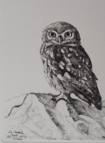 François CAYOL : Les chouettes, 1995 - Gravure (détail)