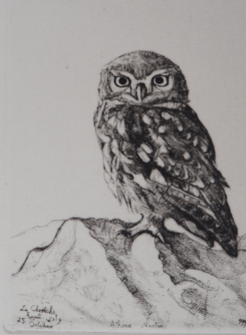 François CAYOL : Les chouettes, 1995 - Gravure (détail)