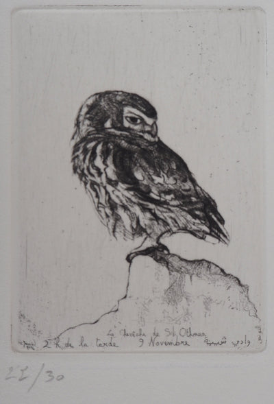 François CAYOL : Les chouettes, 1995 - Gravure (détail)