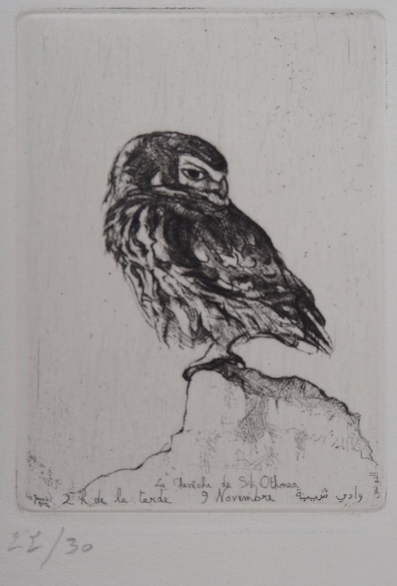 François CAYOL : Les chouettes, 1995 - Gravure (détail)