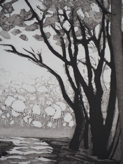 Maurice CHOT-PLASSOT : Rivière en forêt - Gravure (détail)