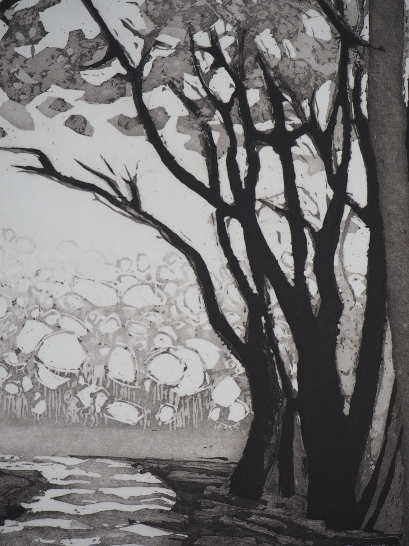 Maurice CHOT-PLASSOT : Rivière en forêt - Gravure (détail)