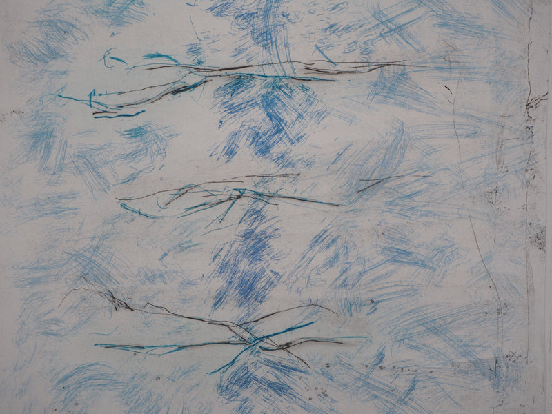 Line CLEMENT : Bleu, verticalité, flou, 1986 - Gravure (détail)