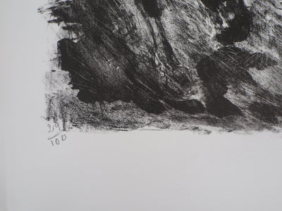 Gérard COCHET : Les chevaux - Lithographie (détail)