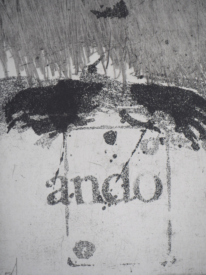 Ricardo COLMENARES : Les Andes, 1993 - Gravure (détail)