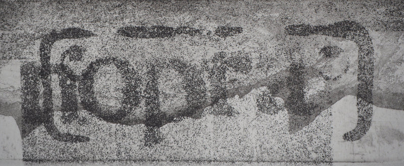 Ricardo COLMENARES : Ciel noir - Gravure (détail)