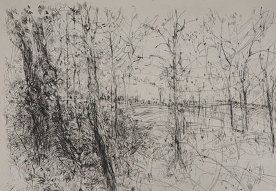 Yves-Jean COMMERE : Balade dans le bois - Gravure (détail)