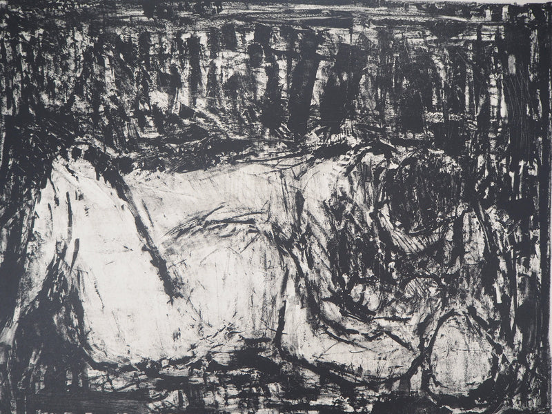 André COTTAVOZ : Les amoureux - Lithographie (détail)