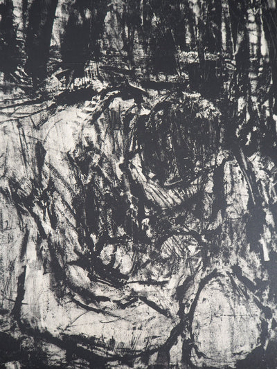 André COTTAVOZ : Les amoureux - Lithographie (détail)