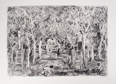 André COTTAVOZ : Cueillette estivale à Vallauris, vers 1976 - Lithographie