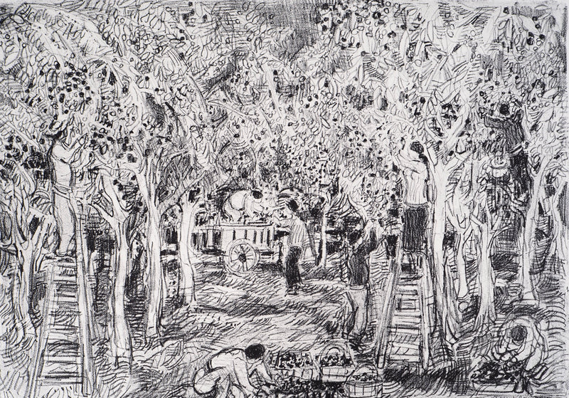 André COTTAVOZ : Cueillette estivale à Vallauris, vers 1976 - Lithographie (détail)
