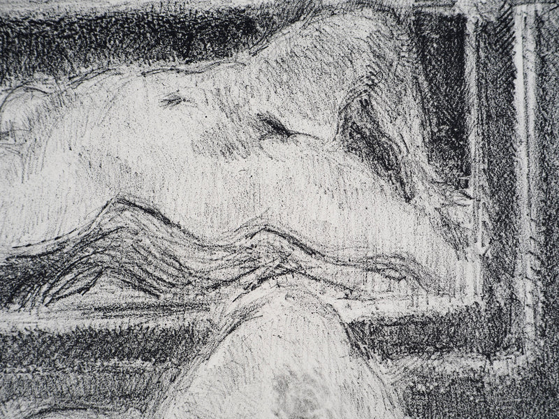 André COTTAVOZ : Femme nue au miroir, vers 1976 - Lithographie (détail)