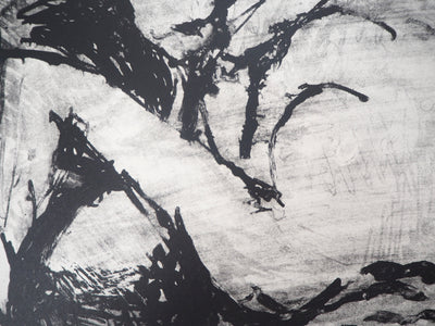 André COTTAVOZ : Nus allongés - Lithographie (détail)