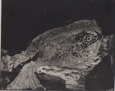 Frédéric COURAILLON : Emergence de la vie, 2008 - Gravure