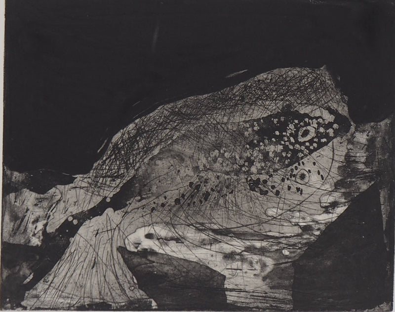 Frédéric COURAILLON : Emergence de la vie, 2008 - Gravure