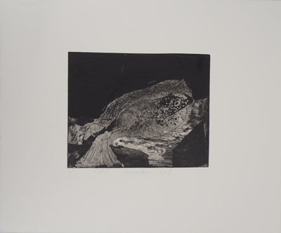 Frédéric COURAILLON : Emergence de la vie, 2008 - Gravure (détail)