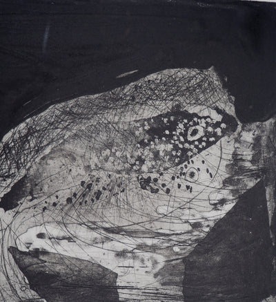 Frédéric COURAILLON : Emergence de la vie, 2008 - Gravure (détail)