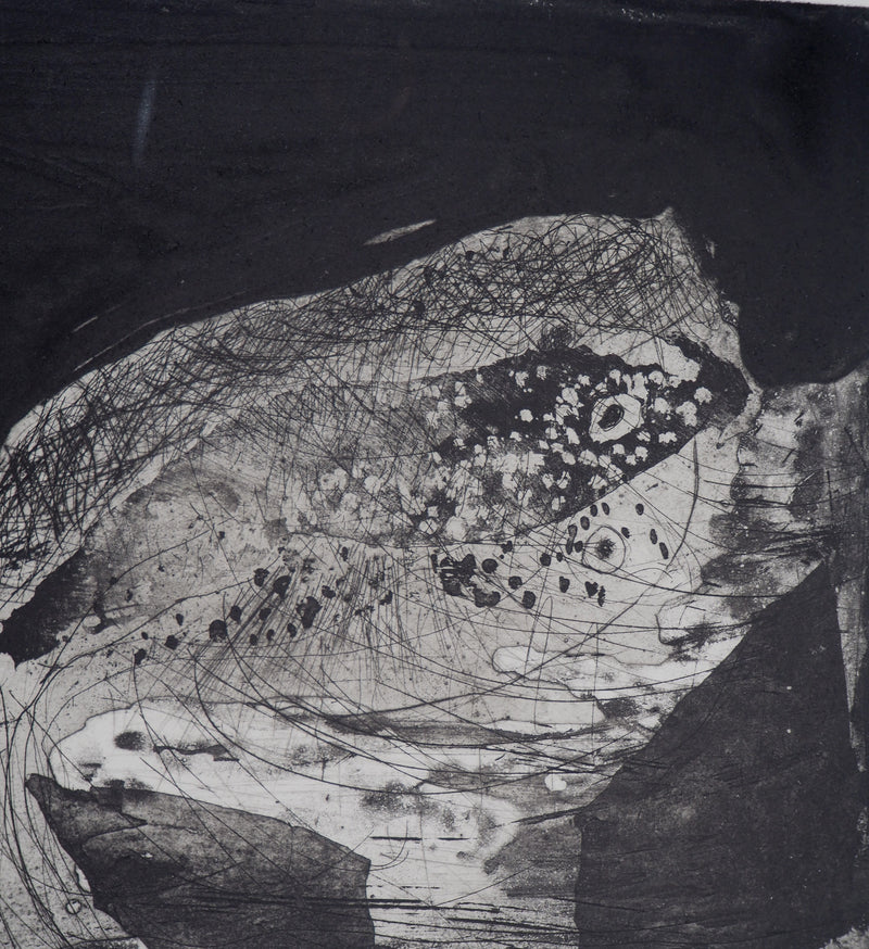 Frédéric COURAILLON : Emergence de la vie, 2008 - Gravure (détail)