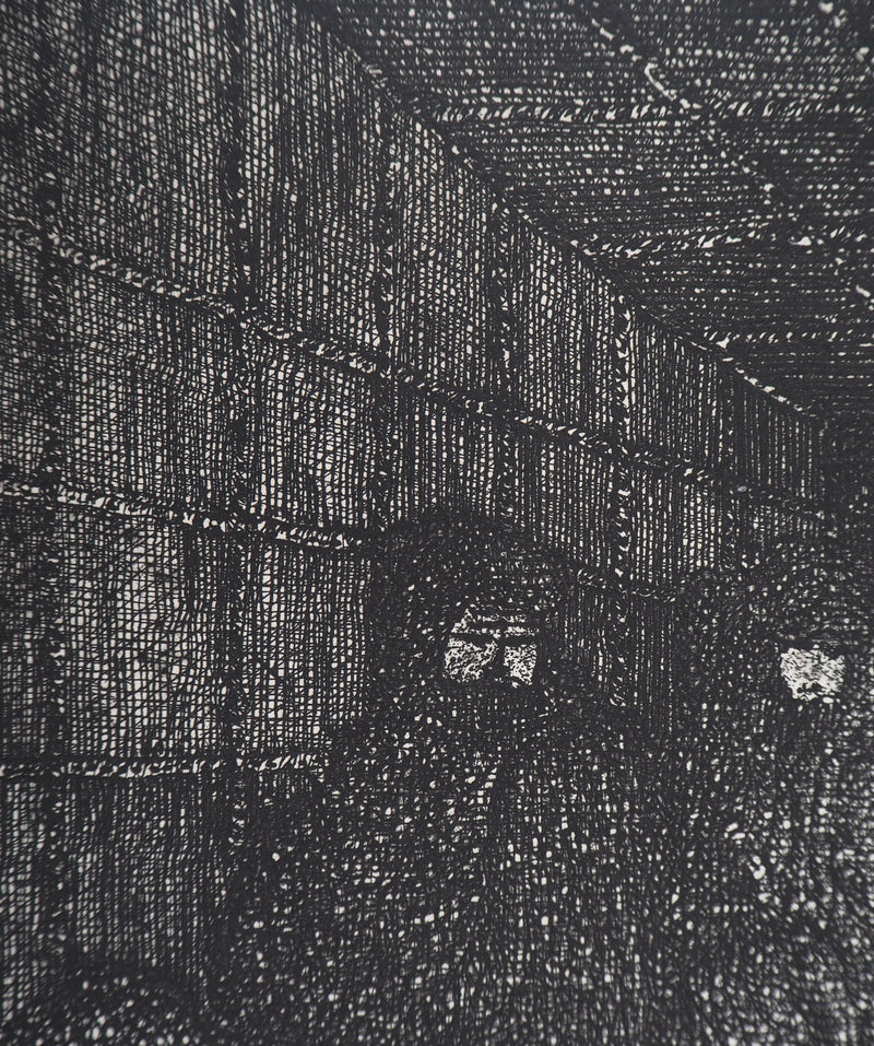 Hélène CSECH : Gravité, 1975 - Gravure (détail)