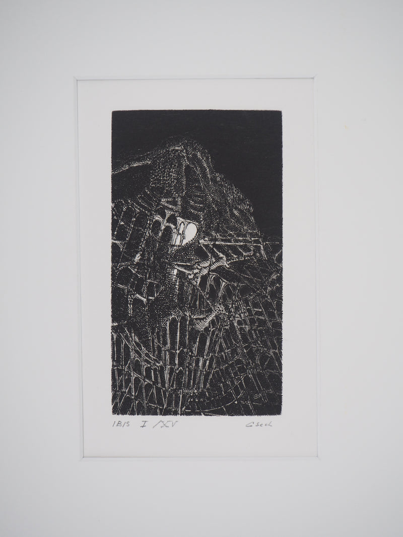 Hélène CSECH : Ibis - Gravure (détail)