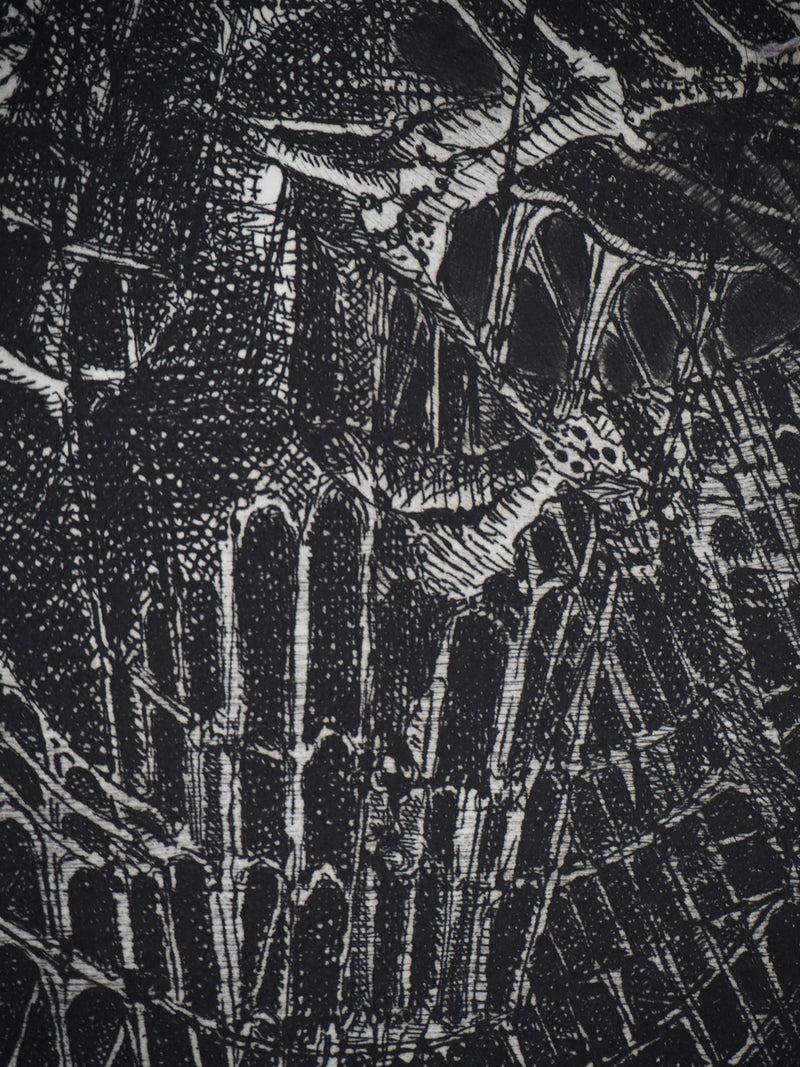 Hélène CSECH : Ibis - Gravure (détail)