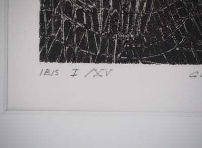 Hélène CSECH : Ibis - Gravure (détail)