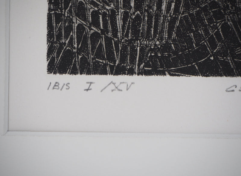 Hélène CSECH : Ibis - Gravure (détail)