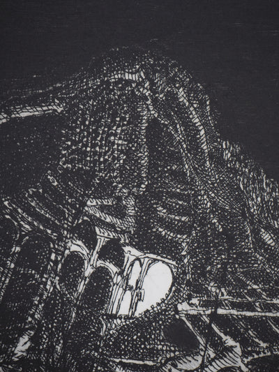 Hélène CSECH : Ibis - Gravure (détail)