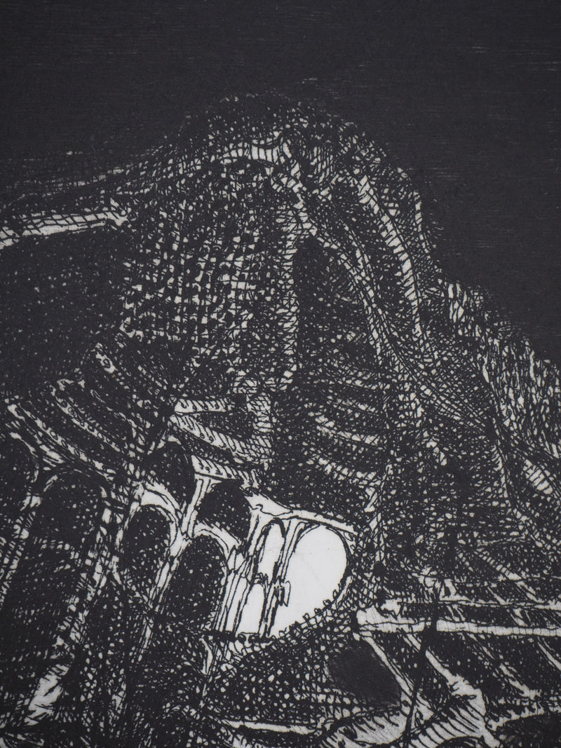 Hélène CSECH : Ibis - Gravure (détail)