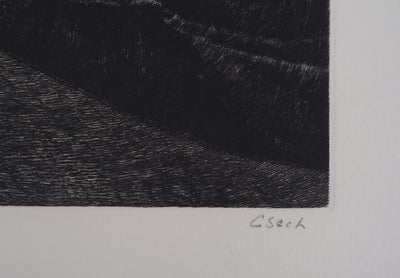 Hélène CSECH : Impulsions, 1980 - Gravure (détail)