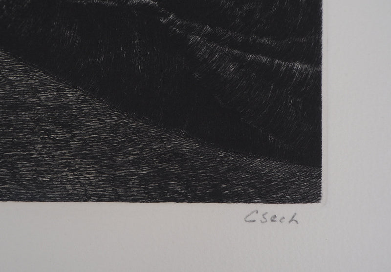 Hélène CSECH : Impulsions, 1980 - Gravure (détail)