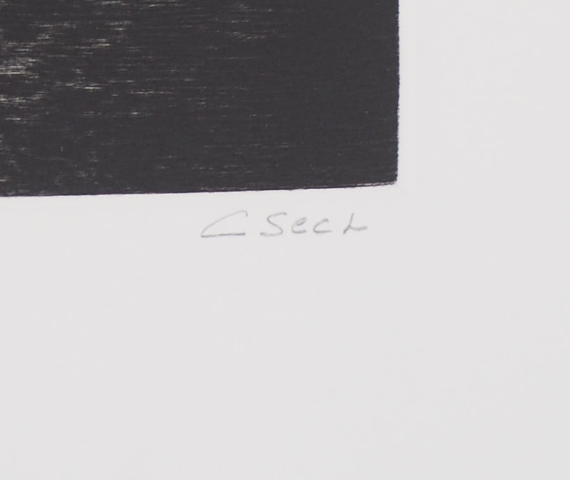 Hélène CSECH : Le meneur du jeu, 1984 - Gravure (détail)