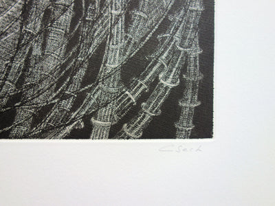 Hélène CSECH : Sillages - Gravure (détail)