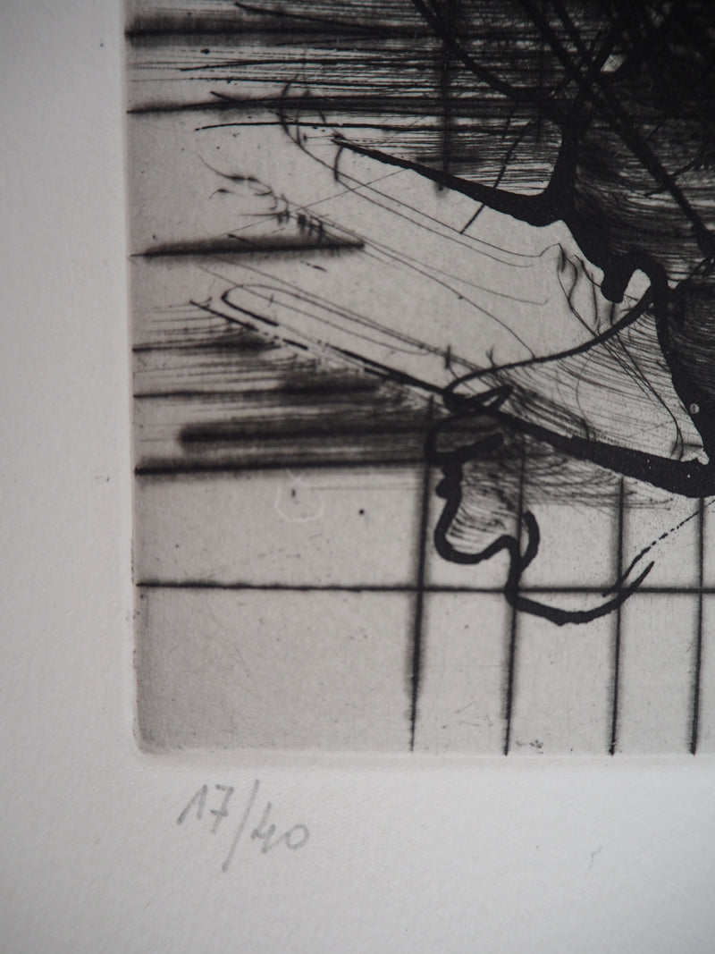  DADO : Monstre, 1997 - Gravure (détail)