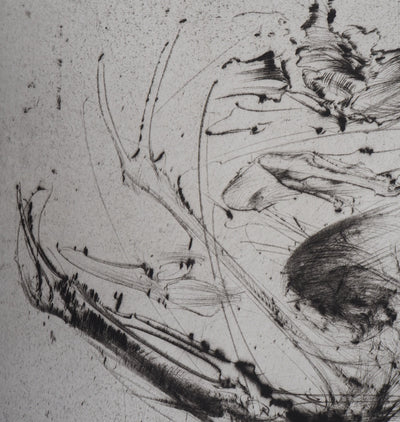  DADO : Tourbillon, 1982 - Gravure (détail)