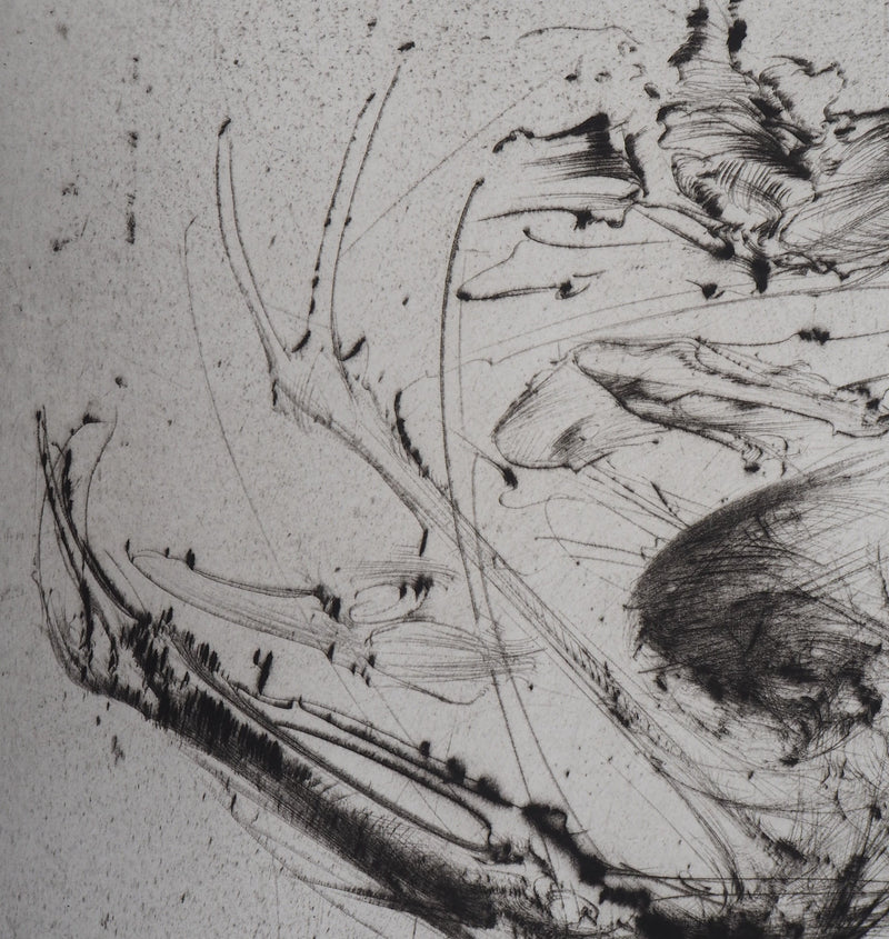  DADO : Tourbillon, 1982 - Gravure (détail)