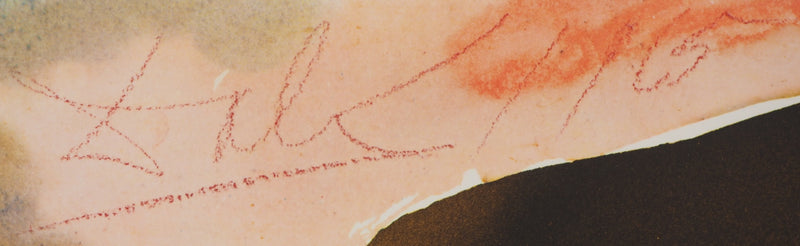 Salvador DALI : Biblia Sacra : L&