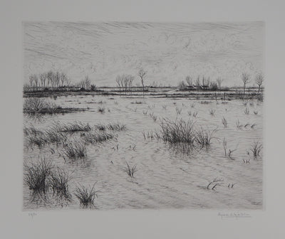 Aymar DE LEZARDIERE : Paysage inondé - Gravure