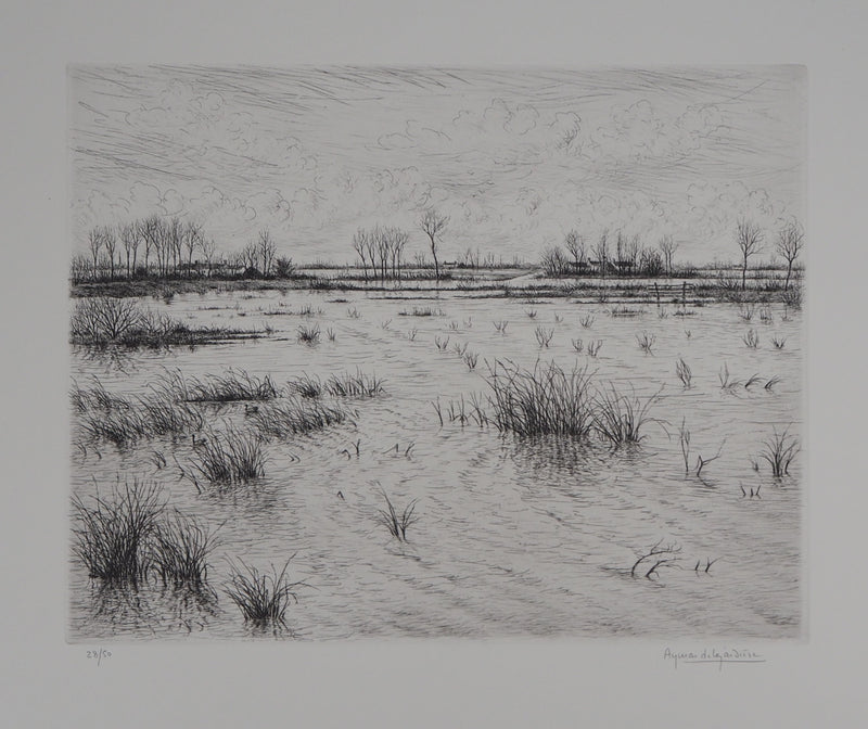 Aymar DE LEZARDIERE : Paysage inondé - Gravure